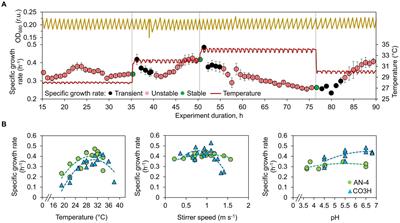 Marine microalgae Schizochytrium demonstrates strong production of essential fatty acids in various cultivation conditions, advancing dietary self-sufficiency